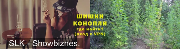 молекула духа Богородицк