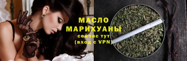 молекула духа Богородицк