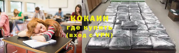 молекула духа Богородицк