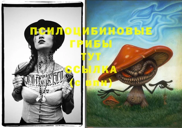 меф Богородск