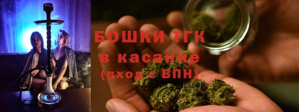 мескалин Богданович