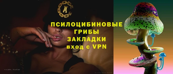 молекула духа Богородицк