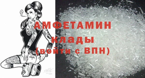 молекула духа Богородицк