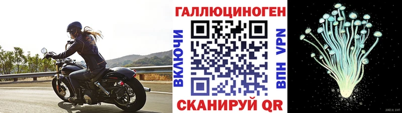 как найти   Гусиноозёрск  Галлюциногенные грибы GOLDEN TEACHER 