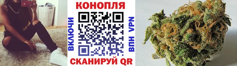 где купить наркотик  Гусиноозёрск  Канабис Bruce Banner 